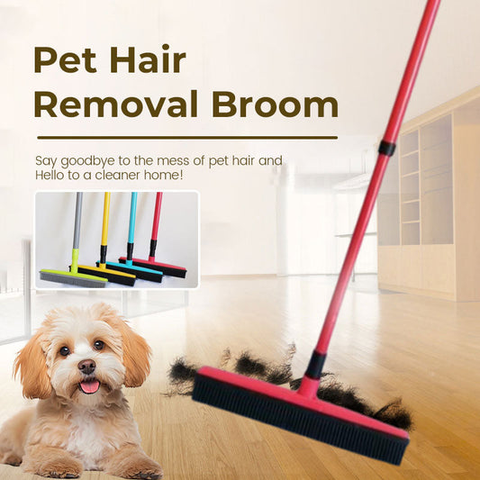 Hair Removal Broom