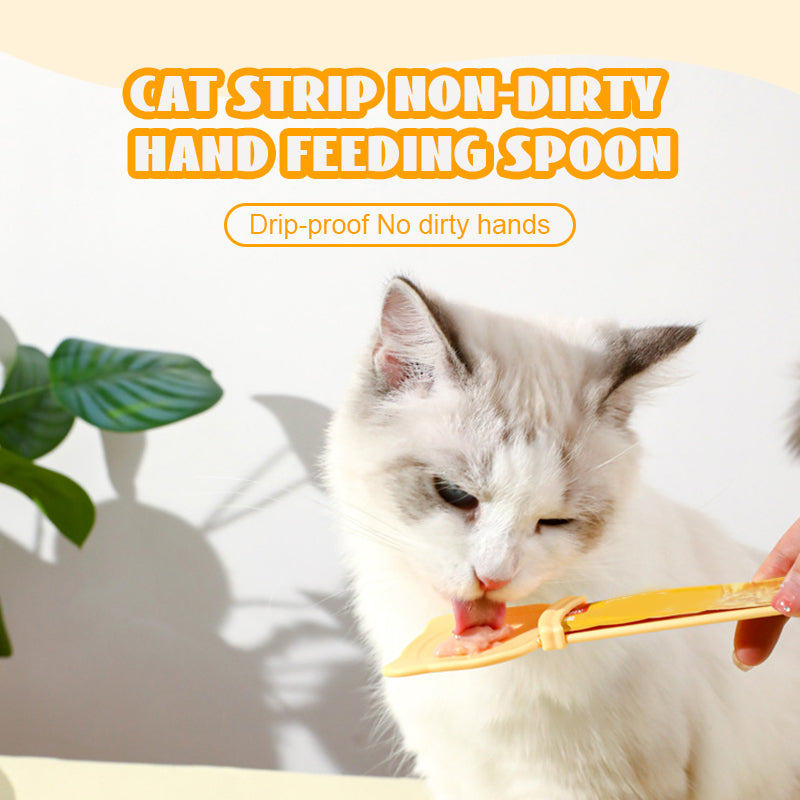 Cat feeding spoon