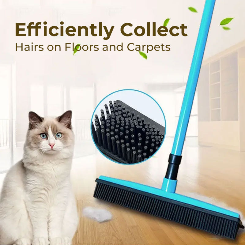 Hair Removal Broom