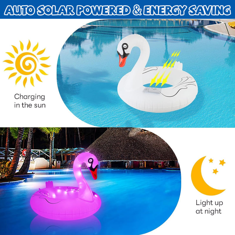 Solar Color Swan Swimming Ring