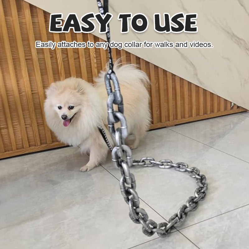 Large iron chain pet leash