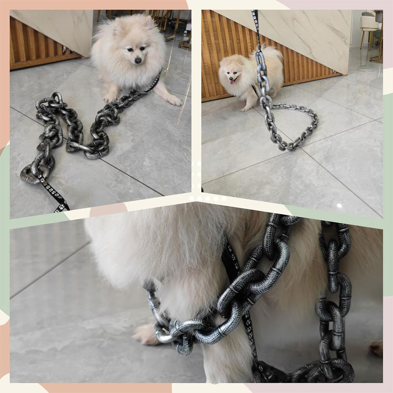 Large iron chain pet leash