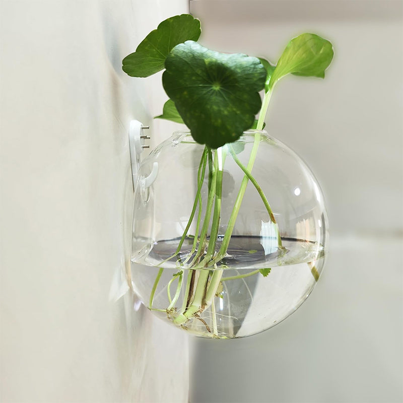 Transparent Wall Vase