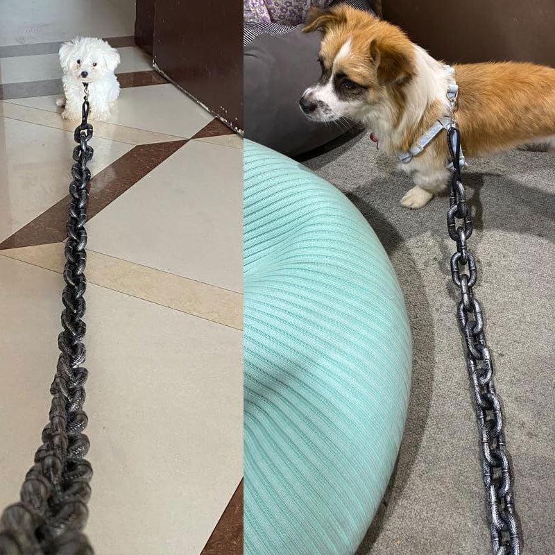 Large iron chain pet leash