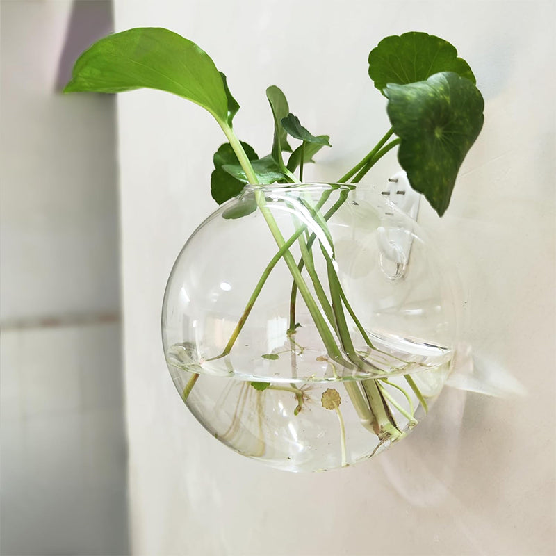 Transparent Wall Vase